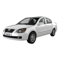 Chery Fora