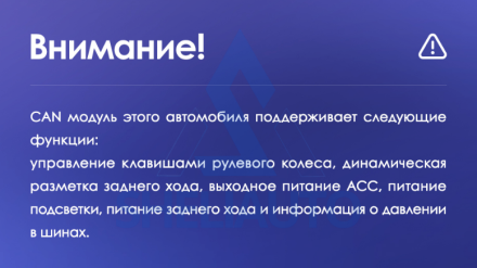 Провода Opel Astra J 2009-17/ Buick Excelle 2 2009-15 (CAN - RZ-GM01)